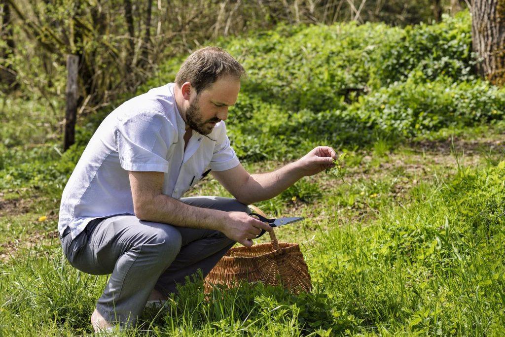 Guillaume Viala en cueillette pour le restaurant Le Belvedere à Bozouls en Aveyron